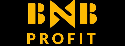 BNB Profit review