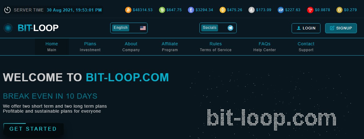 Bit Loop website