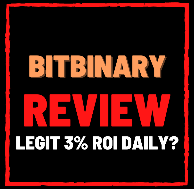 Bitbinary review