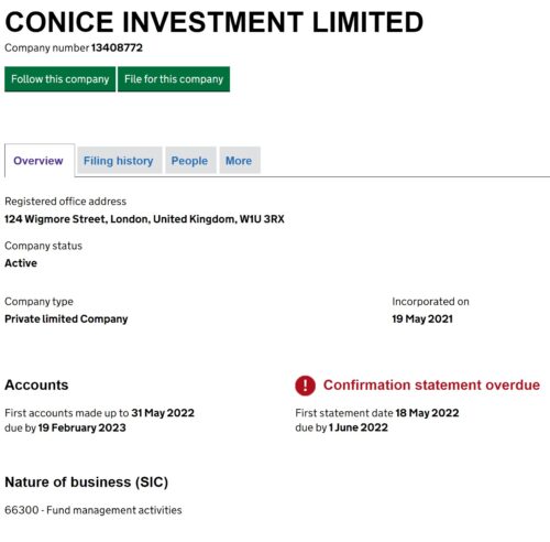 Conice investment limited