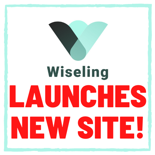 Wiseling Website Down Launches On New Servers To Lure Investors
