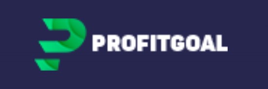 ProfitGoal Review