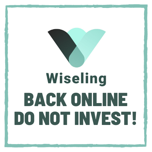 Wiseling Back Online After Heavy DDOS Attack, Don’t Invest!
