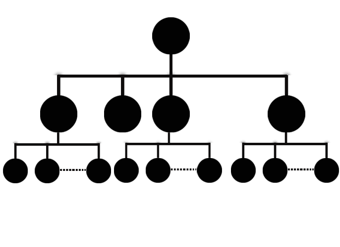 unilevel compensation plan