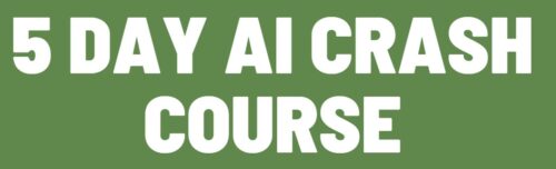 5 day ai crash course review