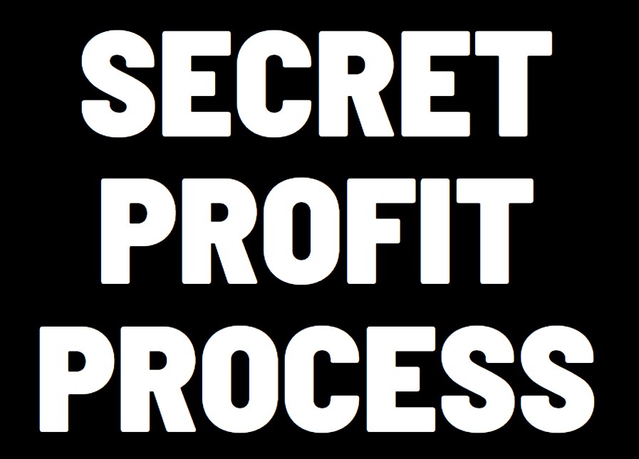 Secret Profit Process Review