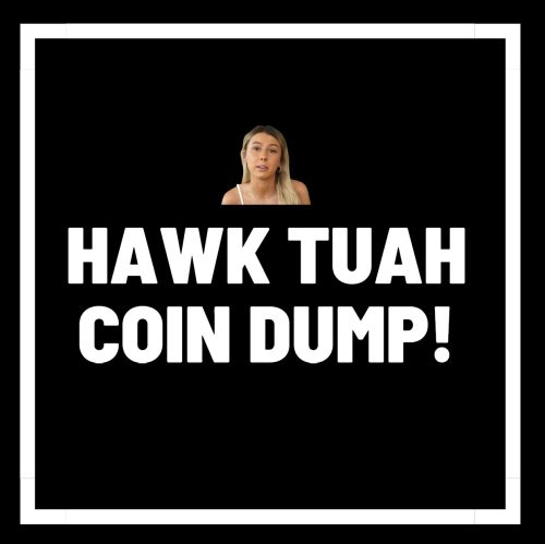 HAWK Tuah Memecoin Soars and Crashes—Investors Cry Foul