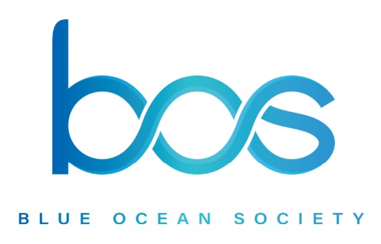 Blue Ocean society review