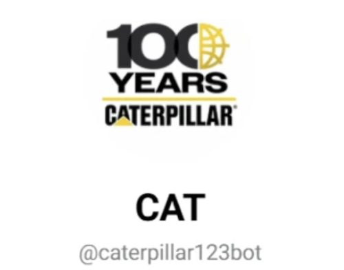 CAT BOT review
