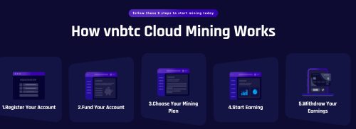 How VNBTC Works