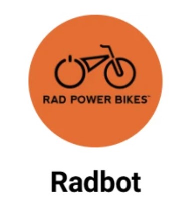 RadPowerBikes VIP review