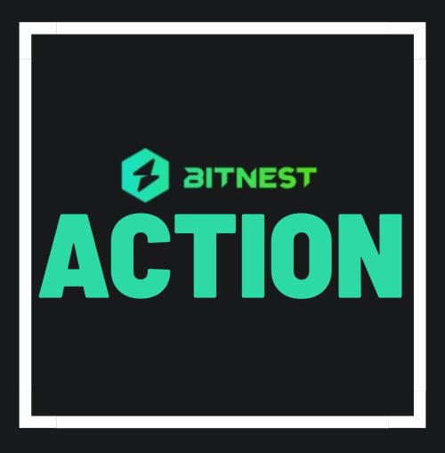 BitNest Review: “Bit Loop” MLM Crypto Ponzi Scam