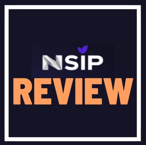 NSIP Review – Another Fancy Ponzi Dressed in a Business Suit