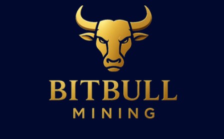 BitBullMining Review