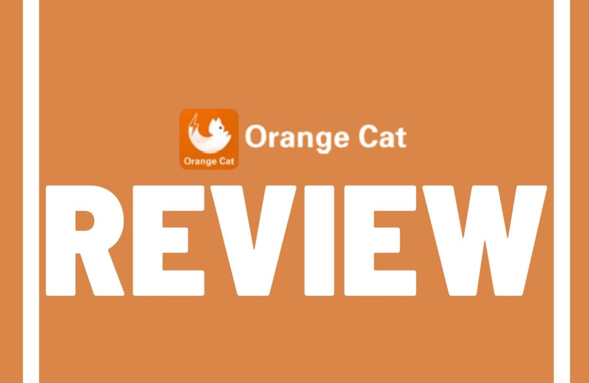 Orange Cat Energy reviews
