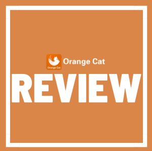 Orange Cat Energy reviews